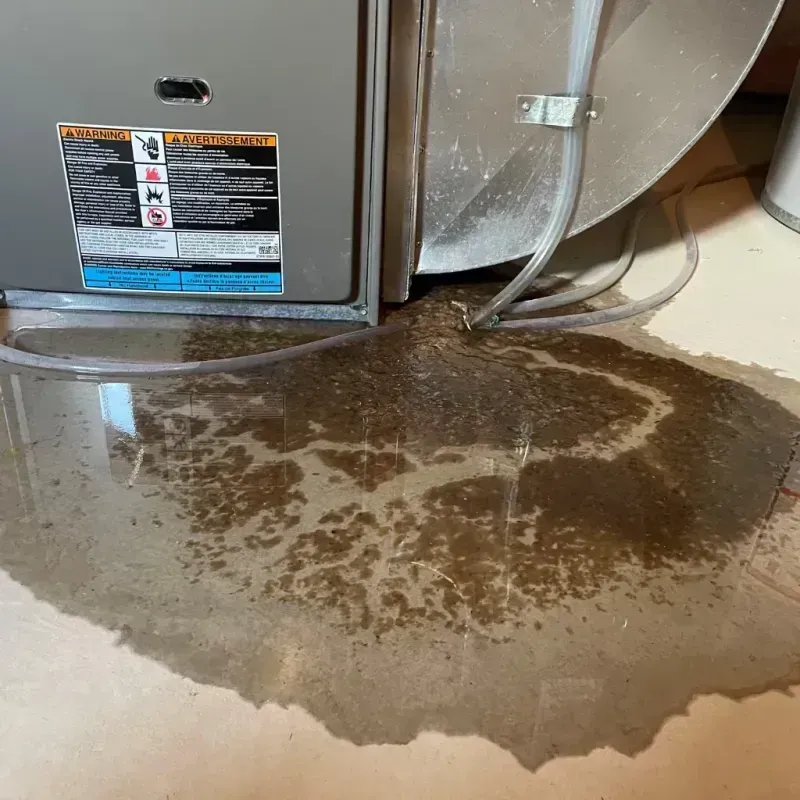 Appliance Leak Cleanup in North East, MD